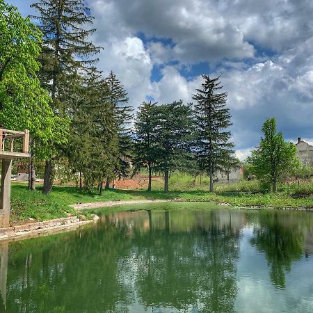Bed and Breakfast Musical Pansion Radgost, Berg Rtanj Exterior foto