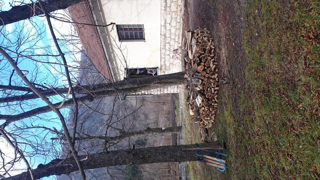 Bed and Breakfast Musical Pansion Radgost, Berg Rtanj Exterior foto