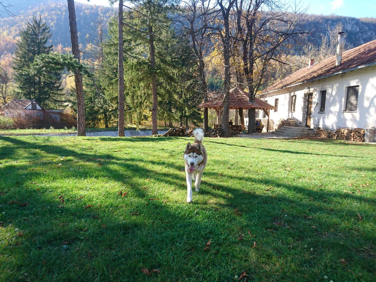 Bed and Breakfast Musical Pansion Radgost, Berg Rtanj Exterior foto