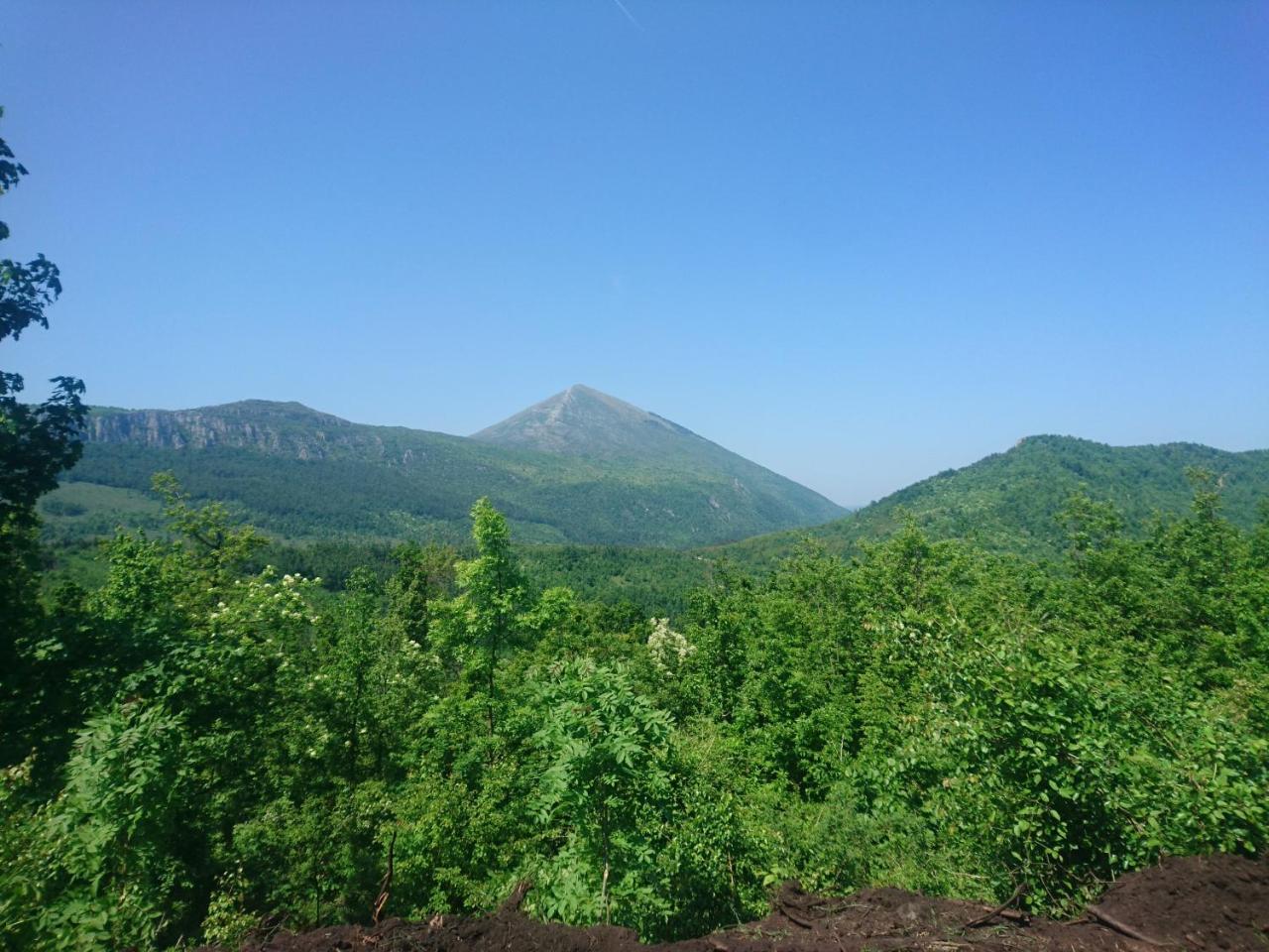 Bed and Breakfast Musical Pansion Radgost, Berg Rtanj Exterior foto