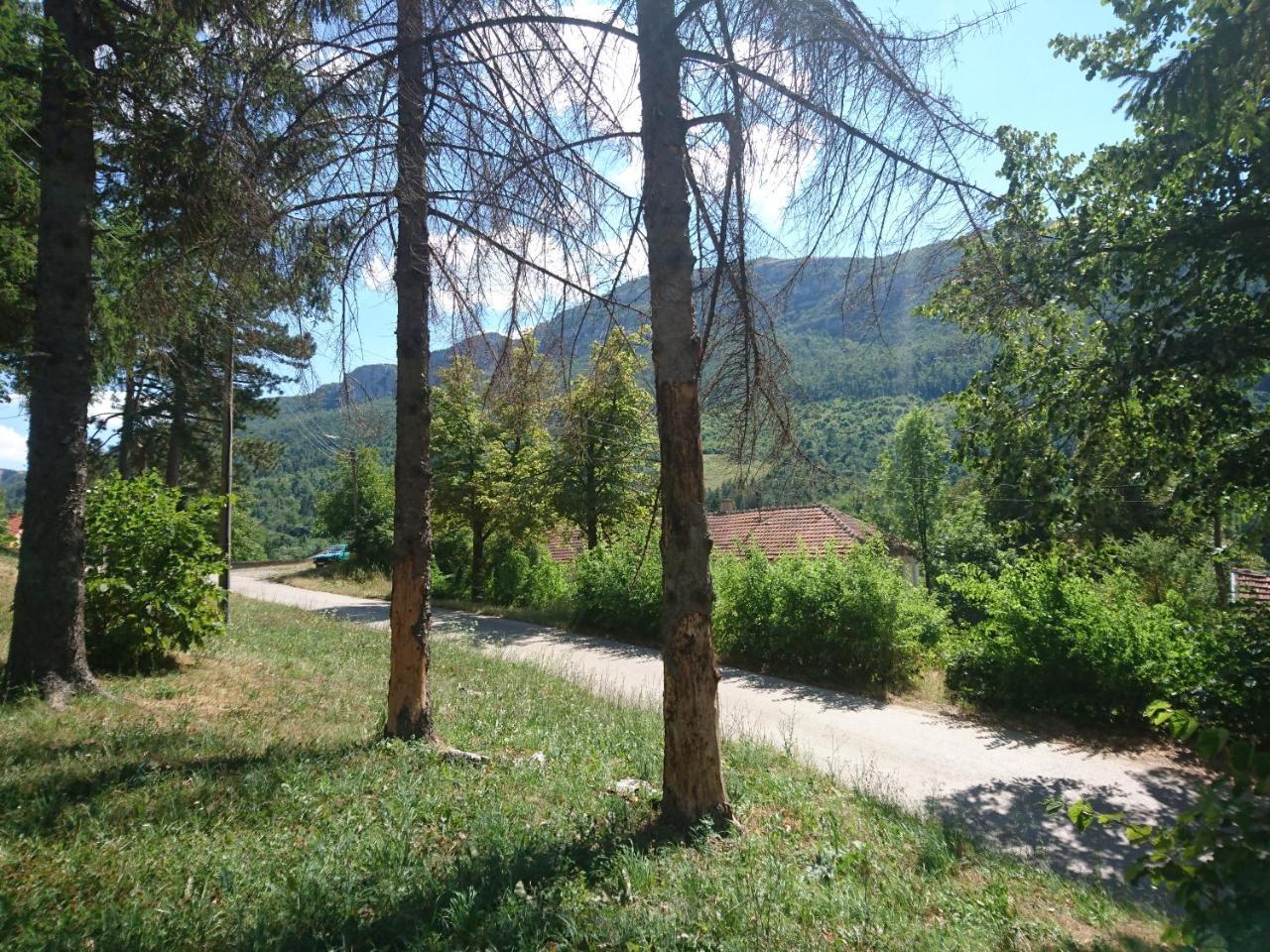 Bed and Breakfast Musical Pansion Radgost, Berg Rtanj Exterior foto